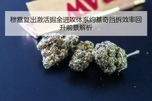 穆雷复出激活掘金进攻体系约基奇挡拆效率回升前景解析