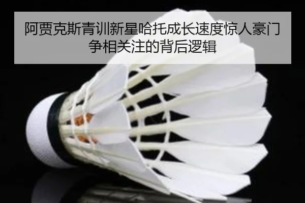 阿贾克斯青训新星哈托成长速度惊人豪门争相关注的背后逻辑